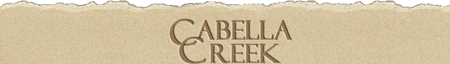 Meridian Idaho Subdivision Homes for Sale at Cabella Creek